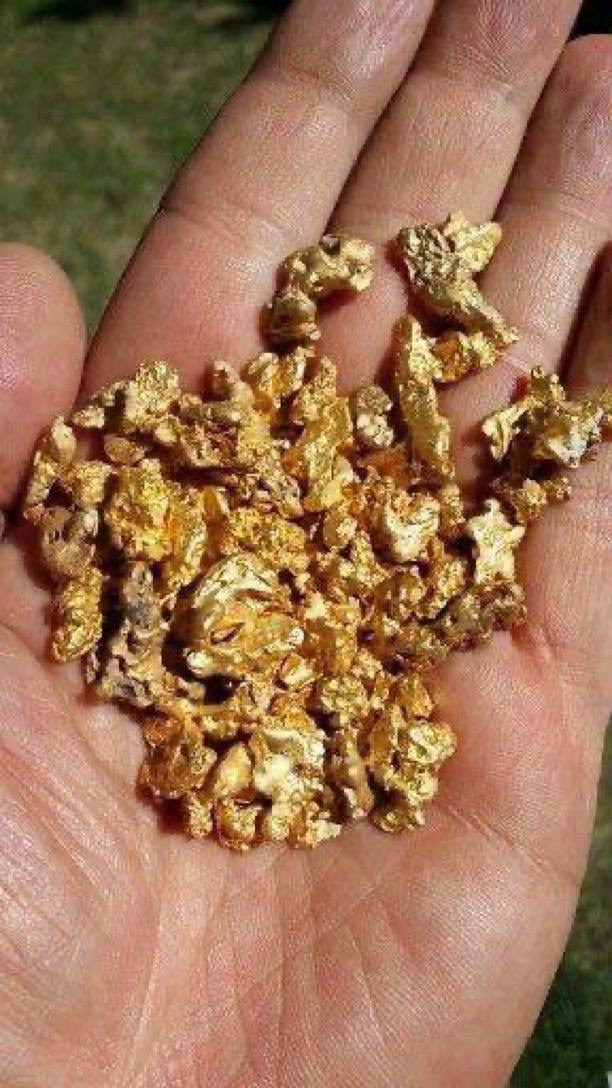 Raw gold nuggets recovered from an Australian site